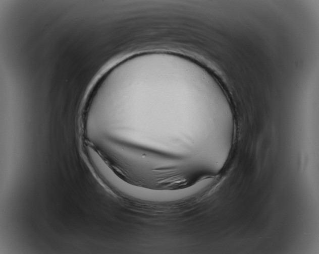 X0000082941517200703020116