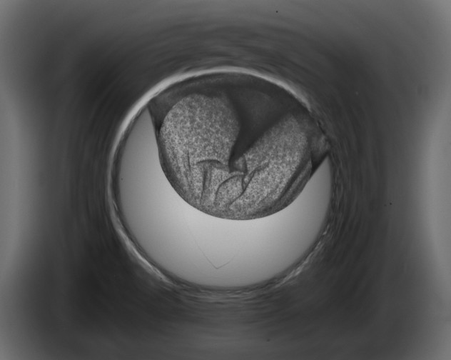 X0000082941518200703020116