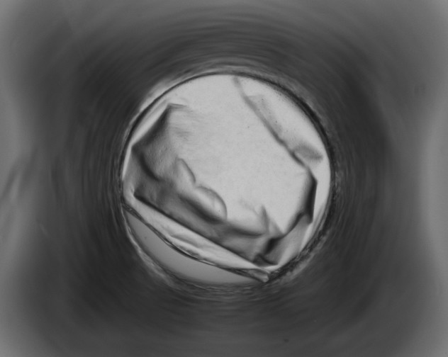 X0000082941521200703020116