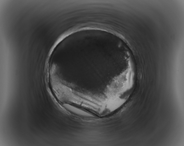 X0000082941522200703020116