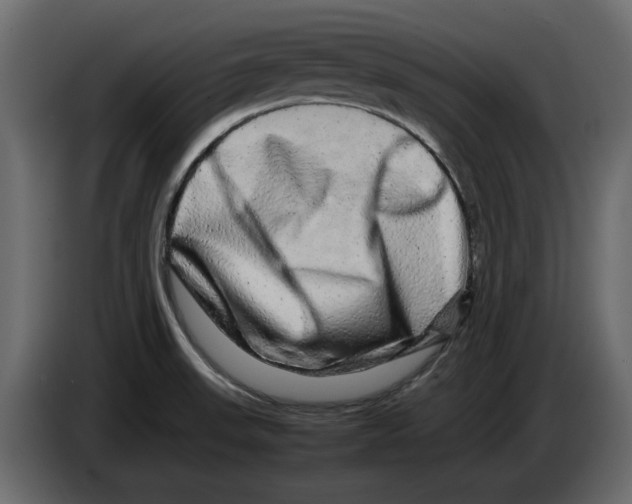 X0000082941523200703020116