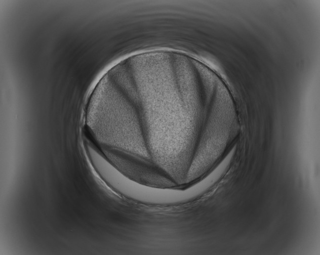 X0000082941524200703020116