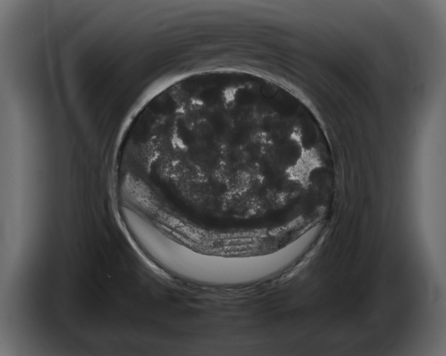 X0000082941525200703020116