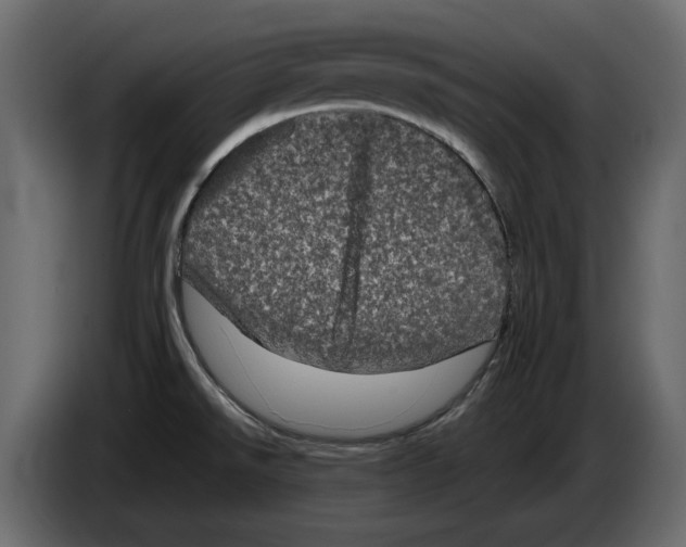 X0000082941526200703020116