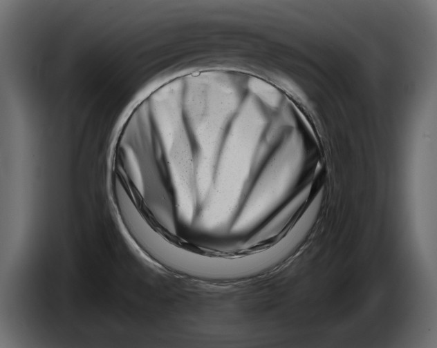 X0000082941528200703020116