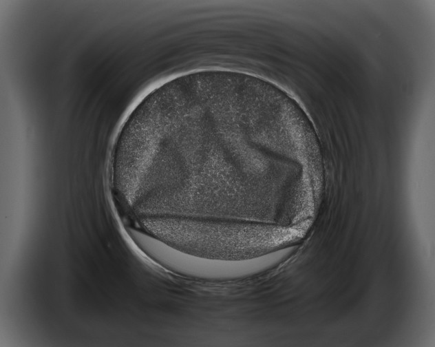 X0000082941531200703020116