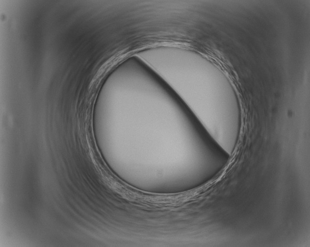 X0000082950001200702011059