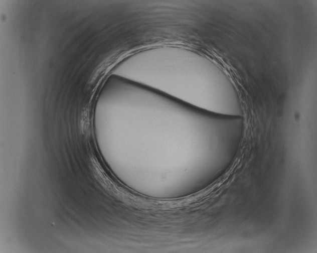 X0000082950002200702011059