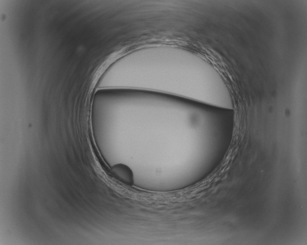 X0000082950003200702011059