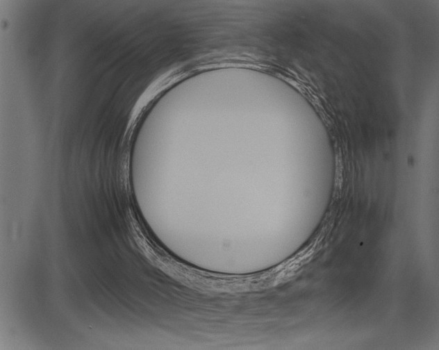 X0000082950004200702011059