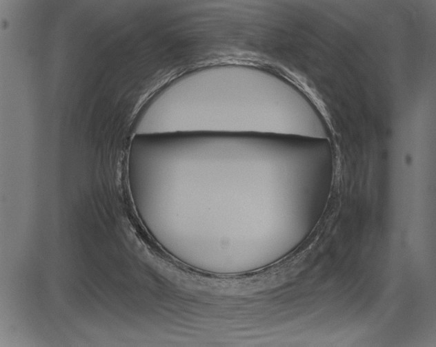 X0000082950010200702011059