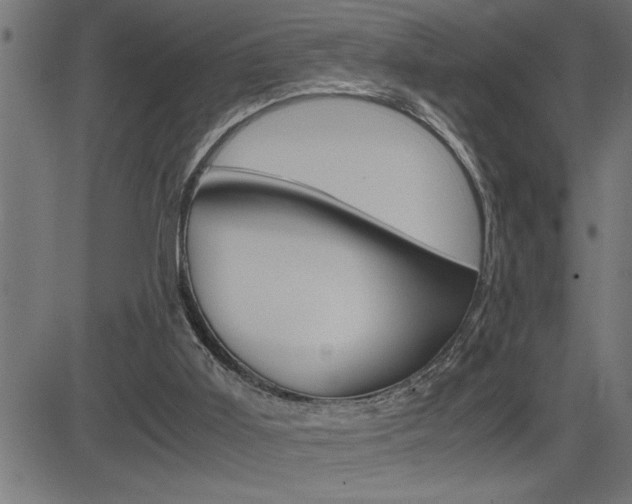 X0000082950011200702011059
