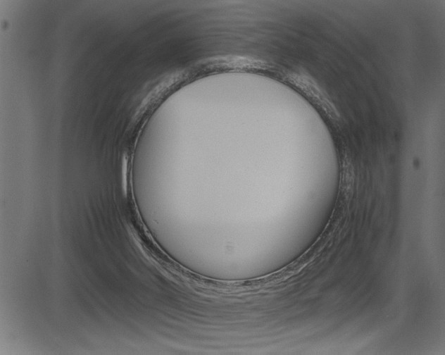 X0000082950014200702011059