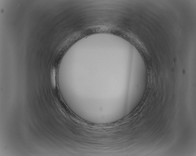 X0000082950022200702011059