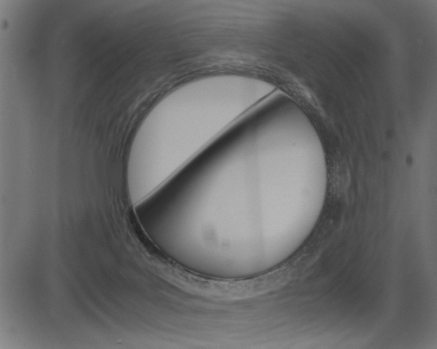 X0000082950027200702011059