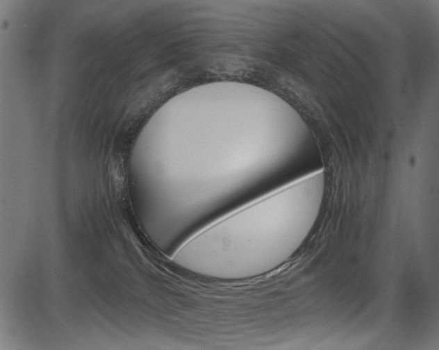 X0000082950040200702011059
