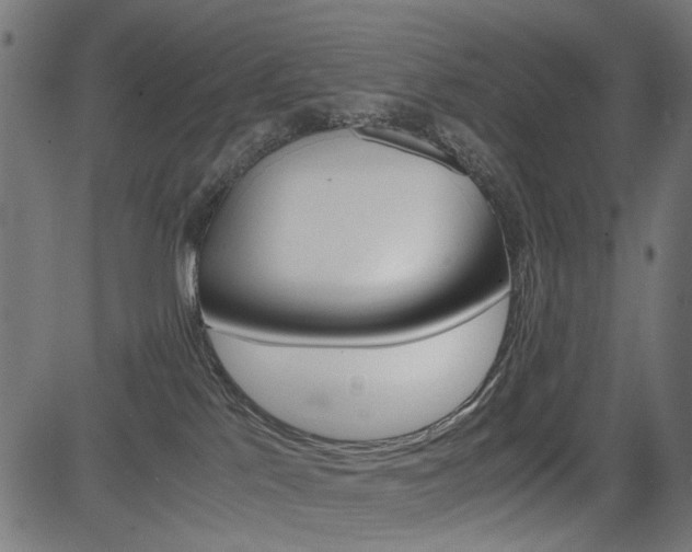 X0000082950041200702011059