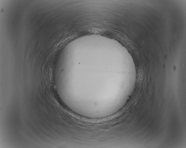 X0000082950043200702011059