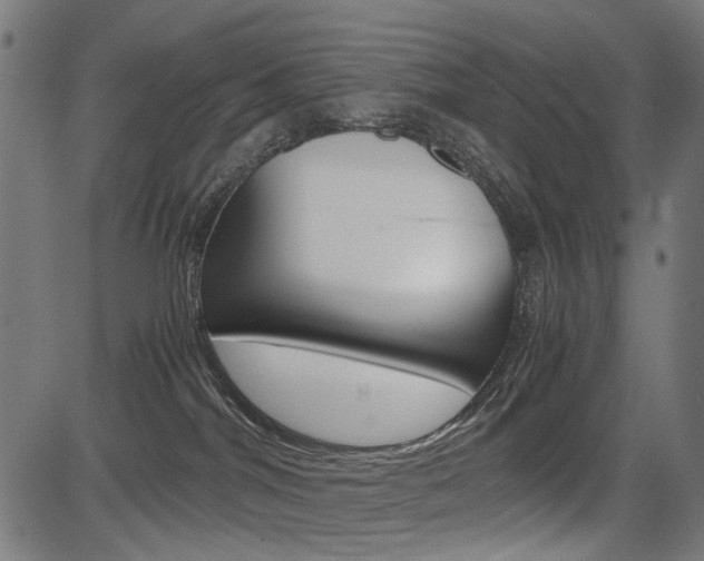 X0000082950044200702011059