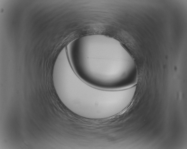 X0000082950045200702011059