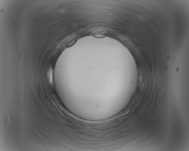 X0000082950046200702011059