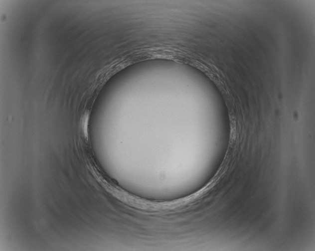 X0000082950047200702011059