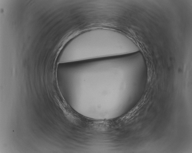 X0000082950050200702011058