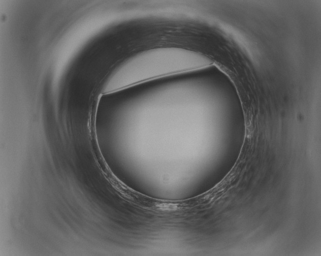 X0000082950052200702011058