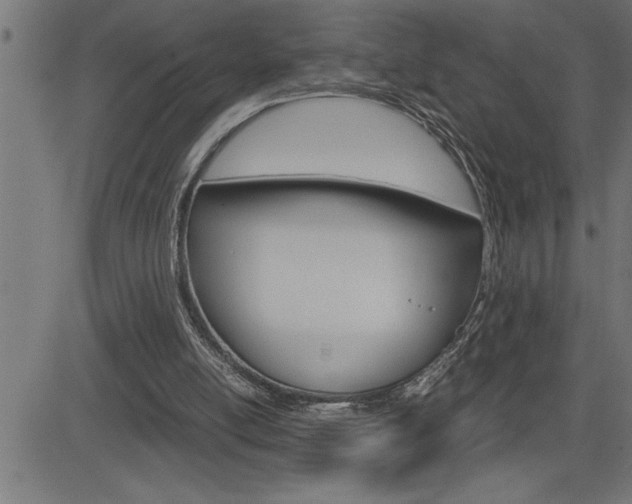 X0000082950054200702011058