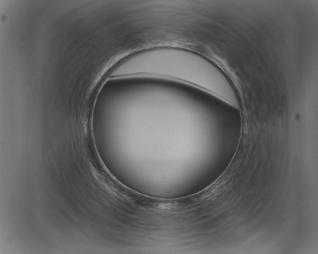 X0000082950060200702011058