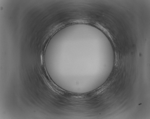 X0000082950061200702011058