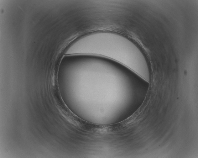 X0000082950068200702011058
