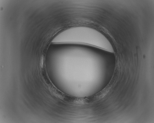 X0000082950076200702011058