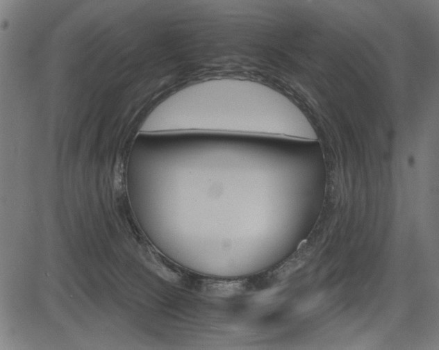 X0000082950081200702011058