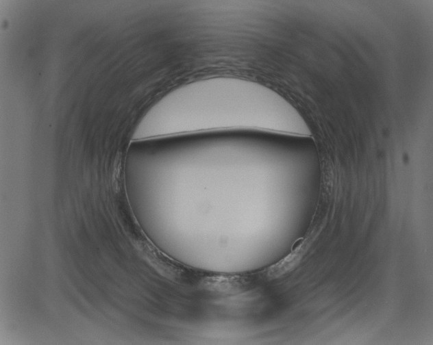 X0000082950082200702011058
