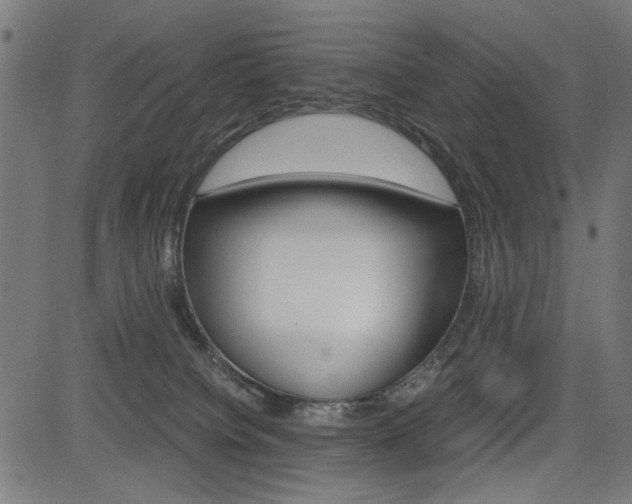 X0000082950084200702011058