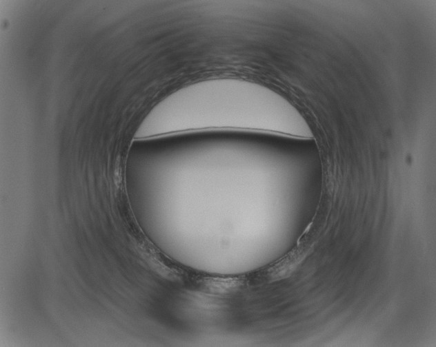 X0000082950085200702011058