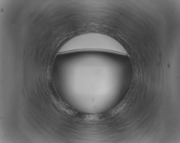 X0000082950088200702011058