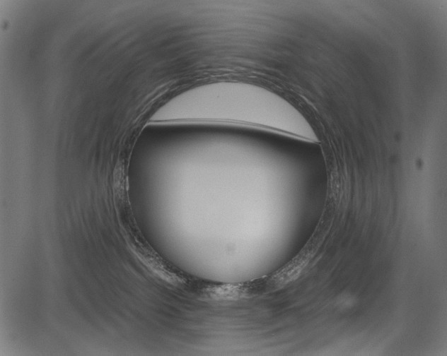 X0000082950092200702011058