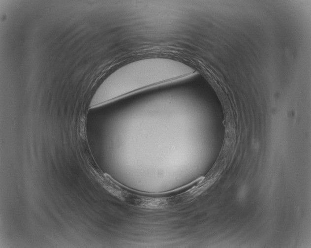 X0000082950096200702011058