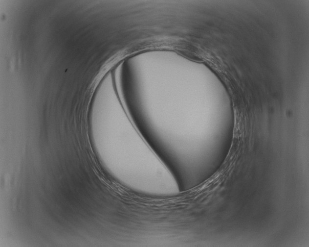 X0000082950099200702011058