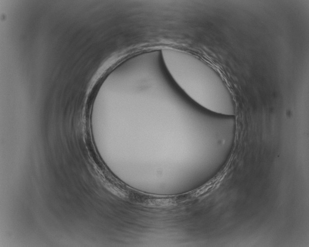 X0000082950102200702011058