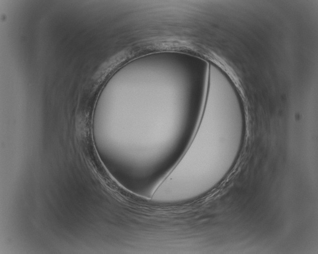 X0000082950105200702011058