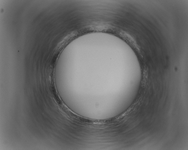 X0000082950114200702011057