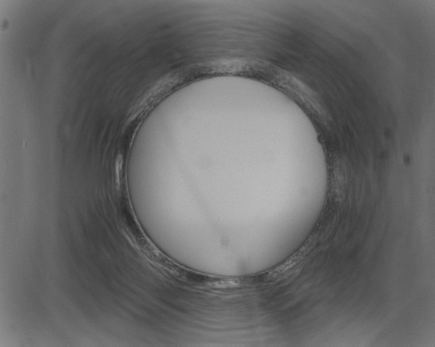 X0000082950118200702011057