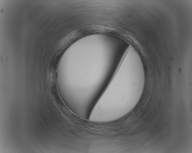 X0000082950119200702011057