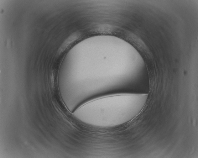 X0000082950120200702011057