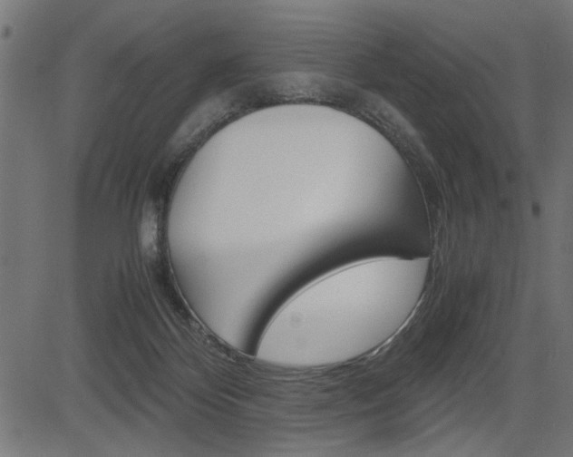X0000082950124200702011057