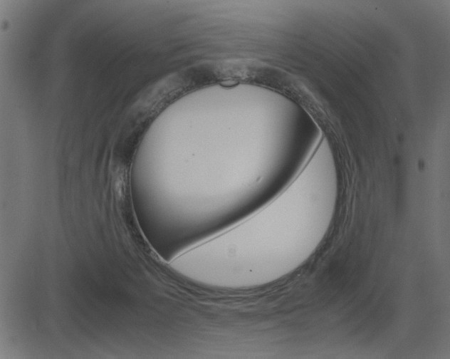X0000082950125200702011057