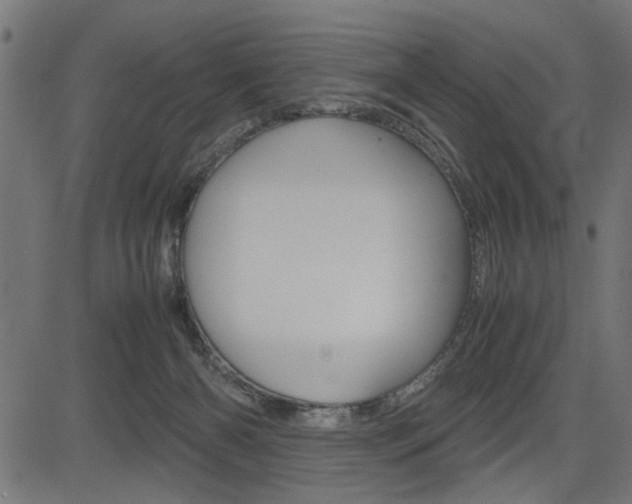 X0000082950126200702011057